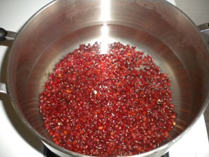 Adzuki (Red Sweet) Bean in Pot of Water